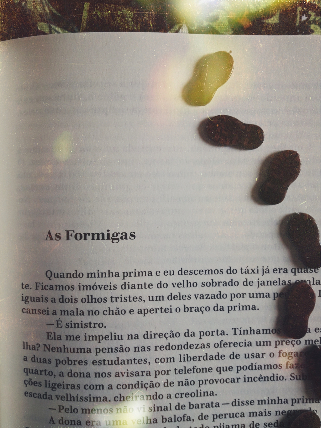 As Formigas, Lygia Fagundes Telles, Companhia das Letras