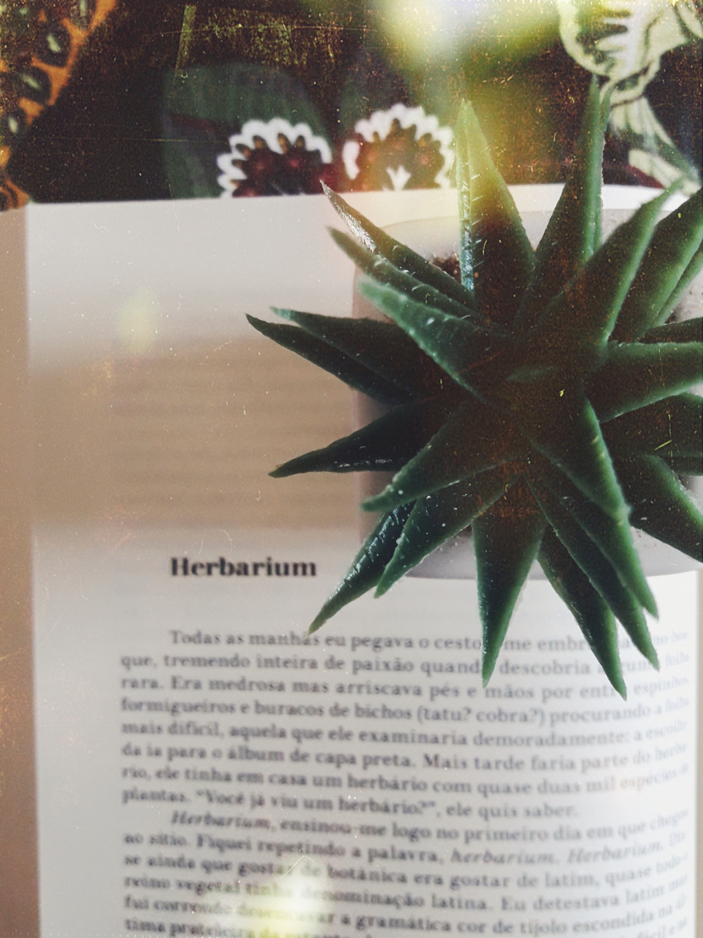 Herbarium, Os Contos, Companhia das Letras