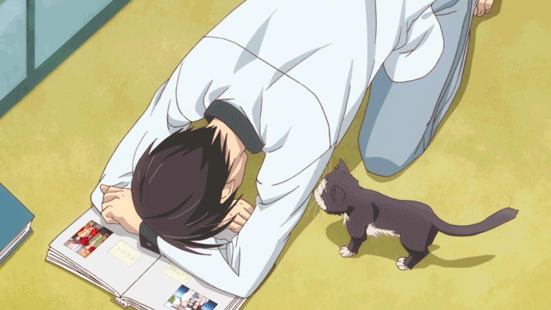 Subaru e Haru em "My Roommate is a Cat".