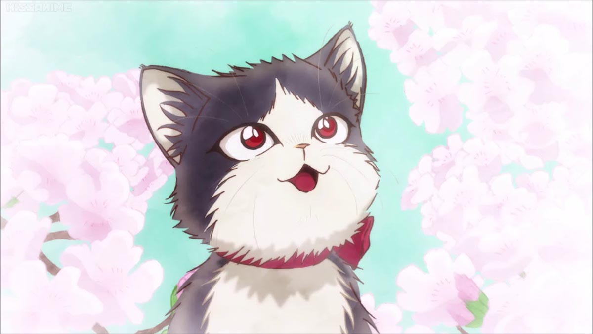 A gatinha Haru está rodeada por cerejeiras em “My Roommate is a Cat”.