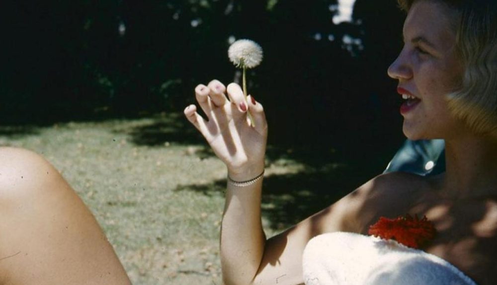 Sylvia Plath e a linha entre a realidade e a ficção
