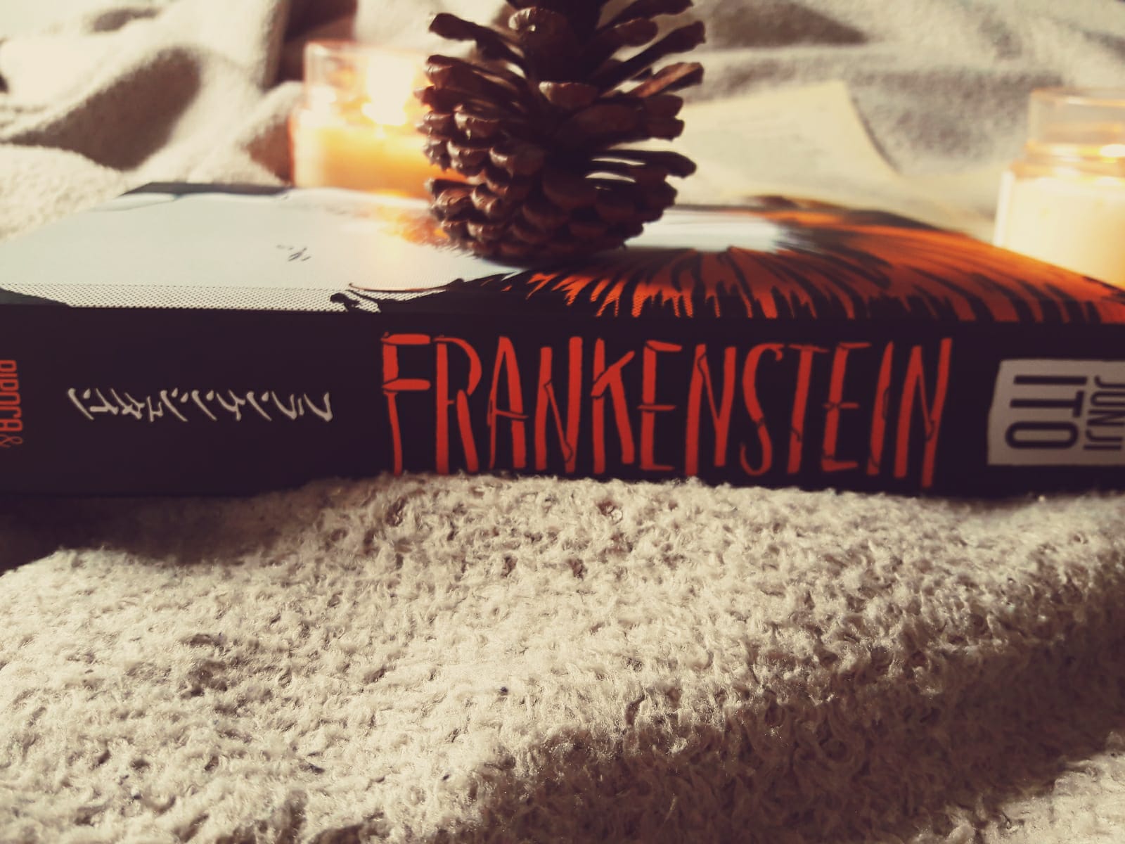 Detalhes da edição de Frankenstein da Pipoca e Nanquim.
