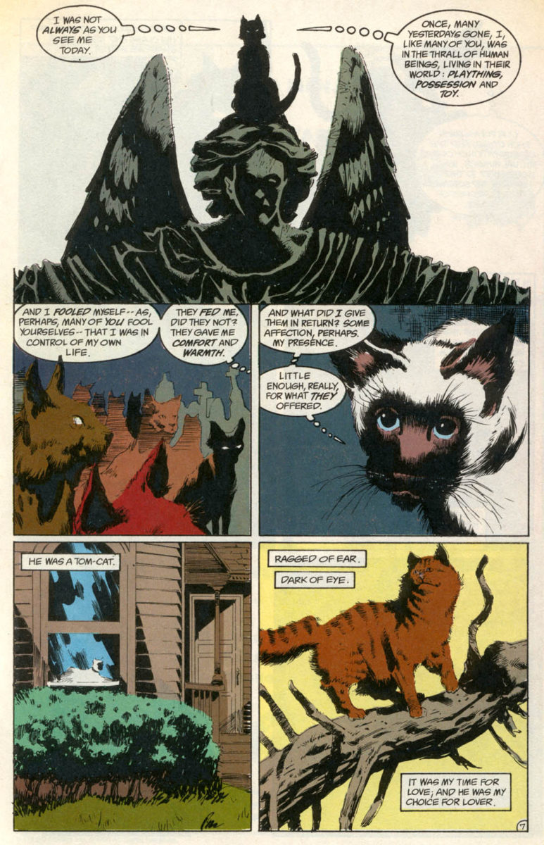 "Um Sonho de Mil Gatos", arco de Sandman.