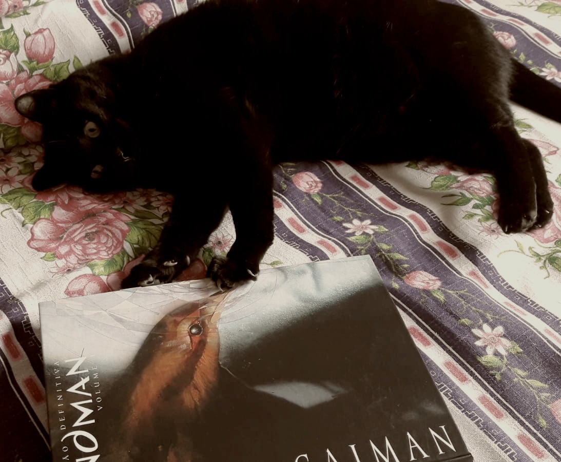 Edição de Sandman, quadrinho de Neil Gaiman.