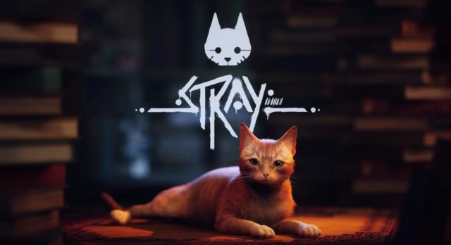 Stray: o jogo com o protagonista mais fofo que existe