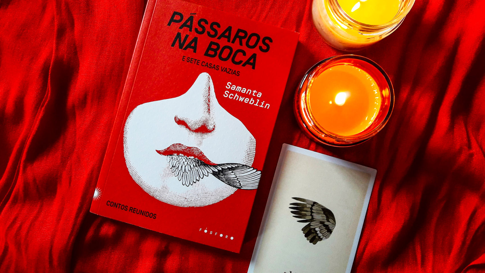 Biblioteca Wandinha Addams: Pássaros na Boca e Sete Casas Vazias, de Samanta Schweblin
