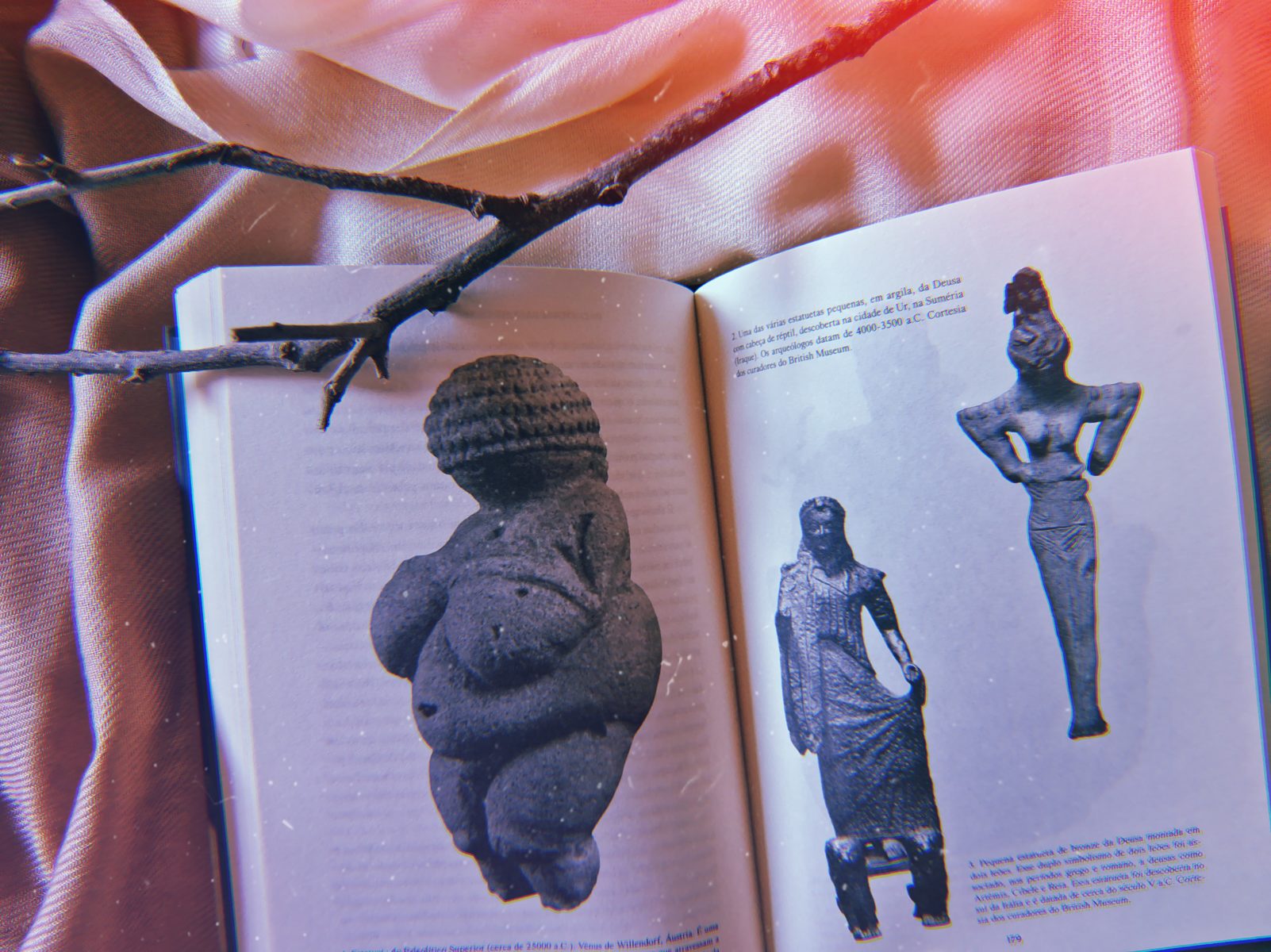 A Vênus de Willendorf na página esquerda do livro "Quando Deus era Mulher", de Merlin Stone.