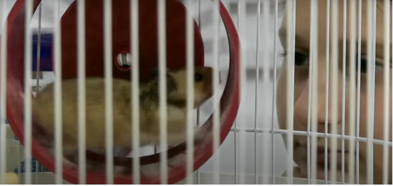 Garota olhando o seu ratinho de estimação na gaiola | Cena de "Alphaville – Do Lado de Dentro do Muro"